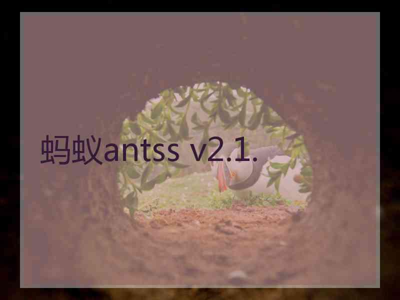 蚂蚁antss v2.1.